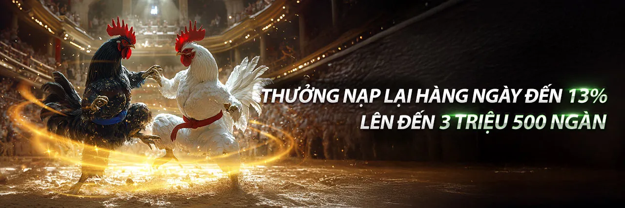 Đấu trường đá gà kịch tính tại New88 Bi